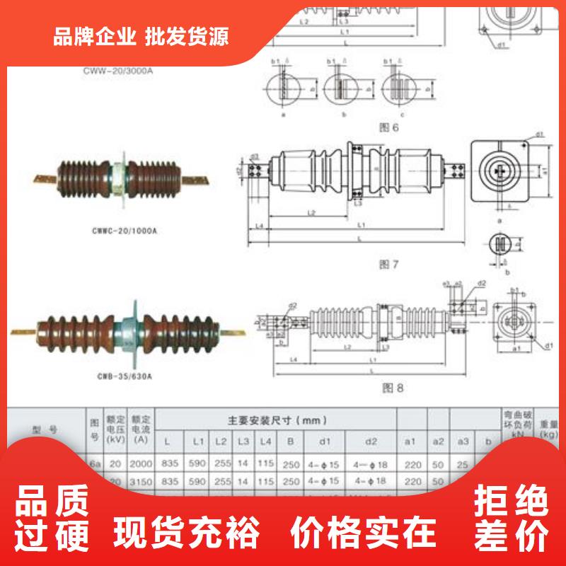 CWWC-35/3000A高压穿墙套管