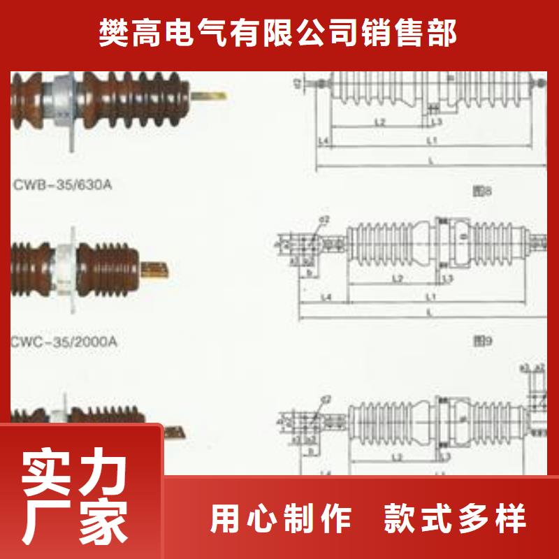 CWC-40.5/400A陶瓷高压托管