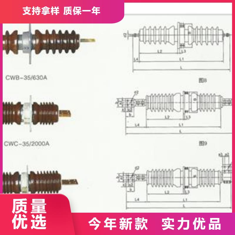 CB-10/630A高压穿墙套管