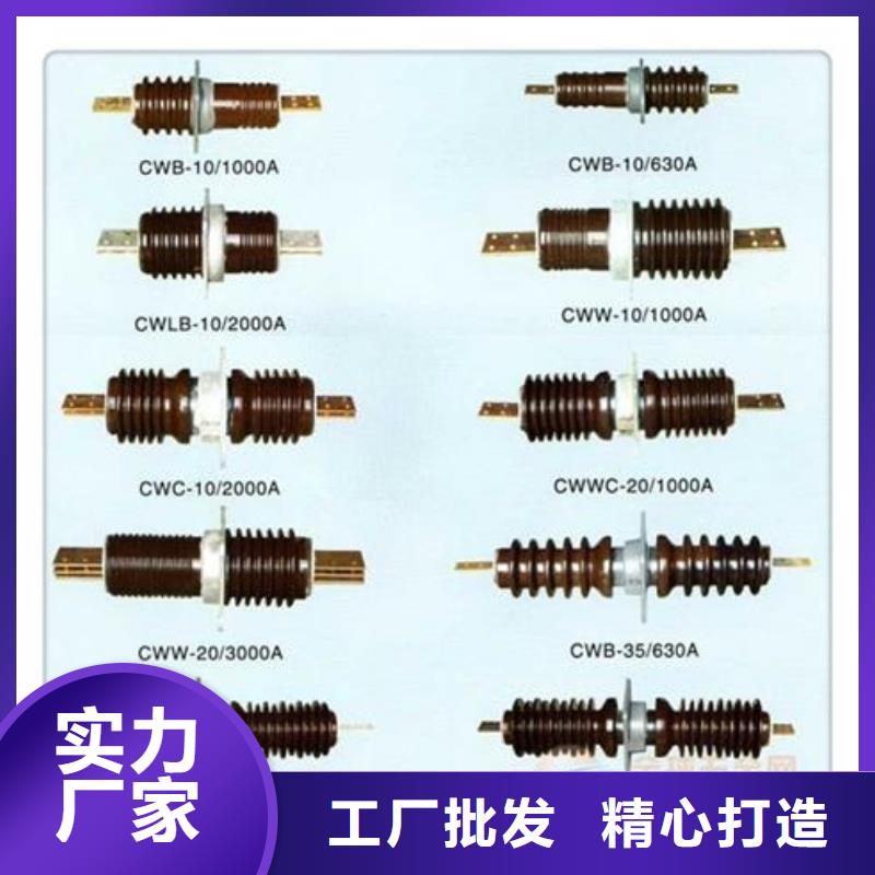 CWWB-35/3150A高压套管
