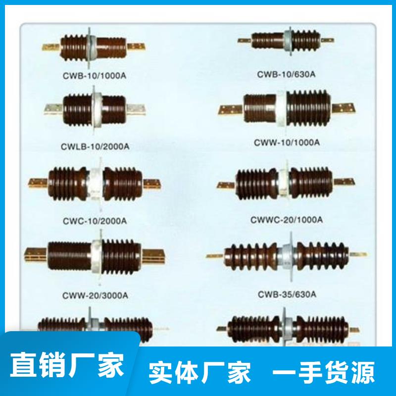 CWW-40.5/2500A-4高压套管