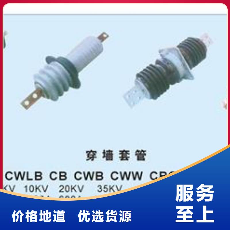 CWWB-40.5/1000A高压陶瓷穿墙套管