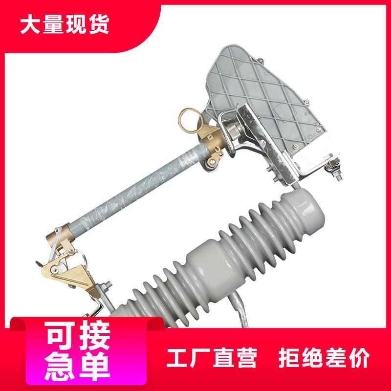 PRWG2-35/100A跌落保险樊高