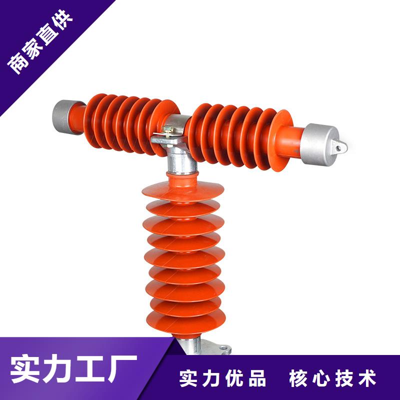 RW5-35/100跌落式熔断器
