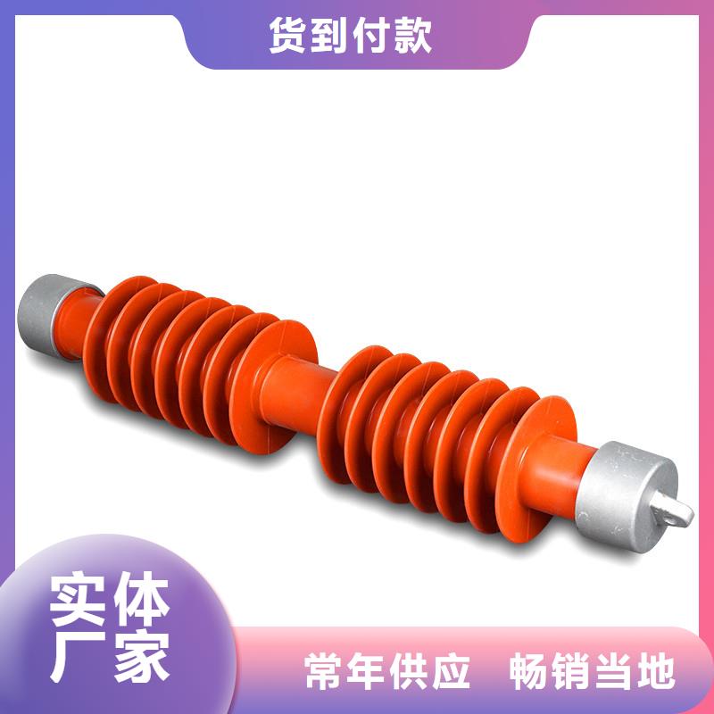 XRNT1-24/16A高压限流熔断器