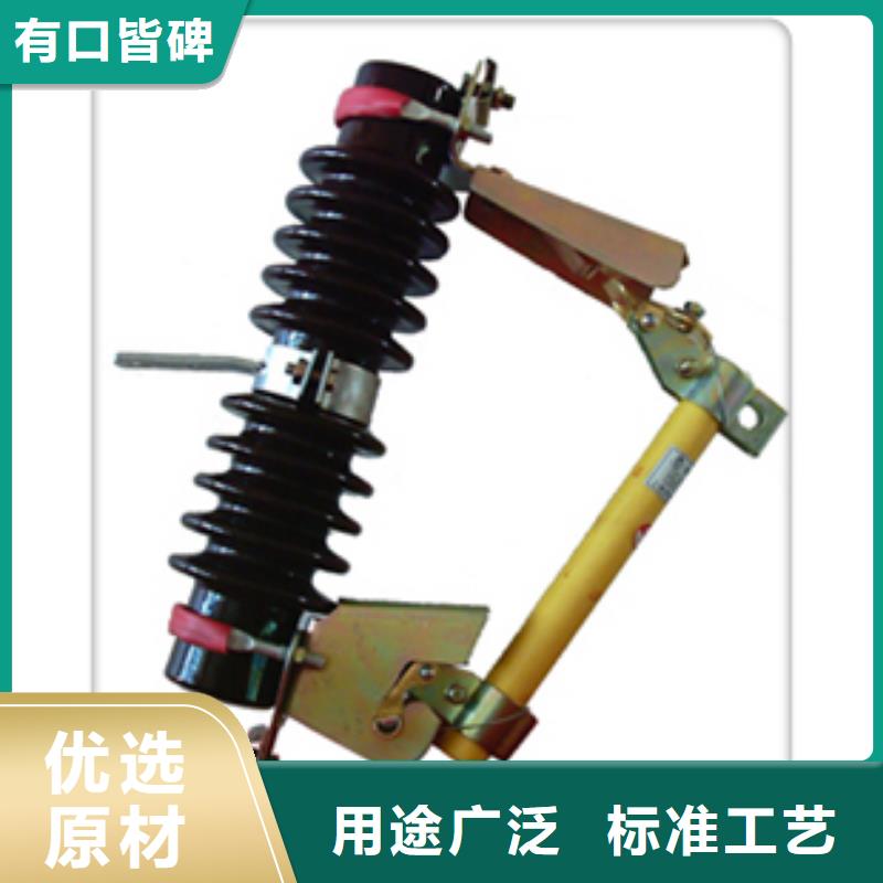 RW11-10/200跌落开关樊高