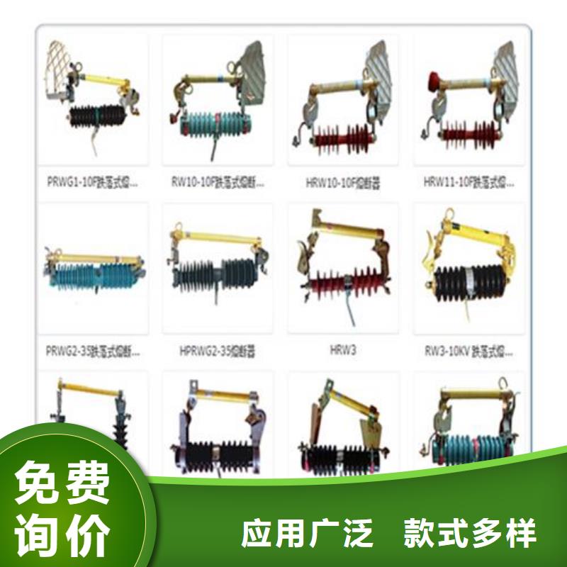 RW10-35/0.5A户内高压限流熔断器