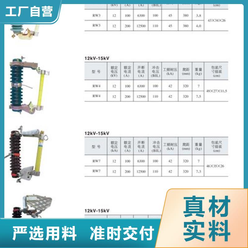 XRNT-10/63A熔管