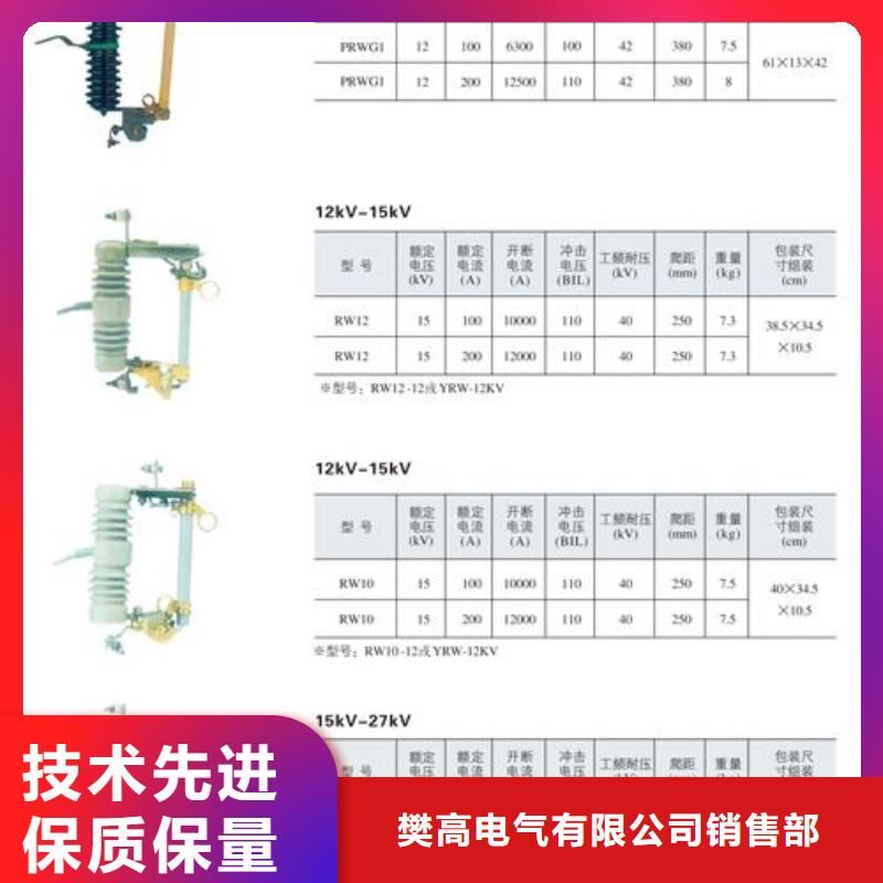 RW10-10/200跌落保险