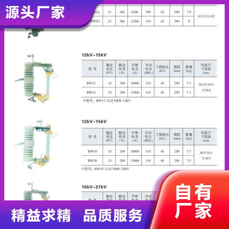 XRNP-10KV/3.15A高压保险管