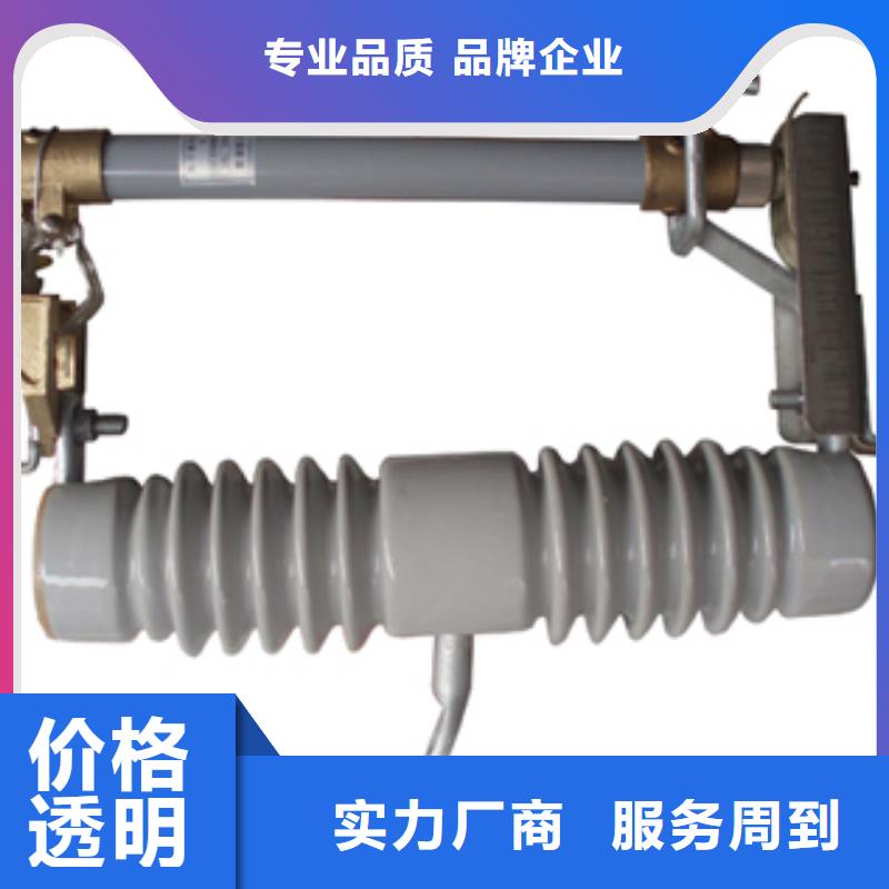 RW11-10/200跌落开关樊高