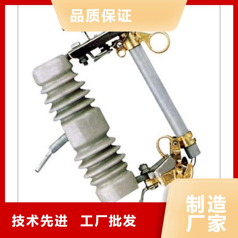 RW10-35/0.5A户内高压限流熔断器