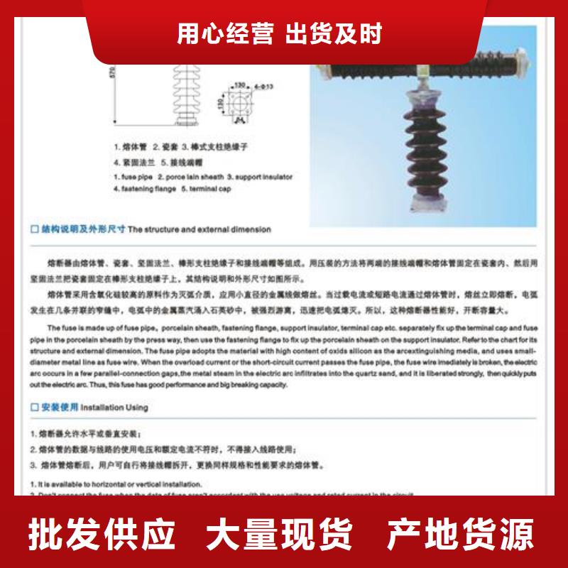 XRNP1-10KV/0.2A户内高压限流熔断器