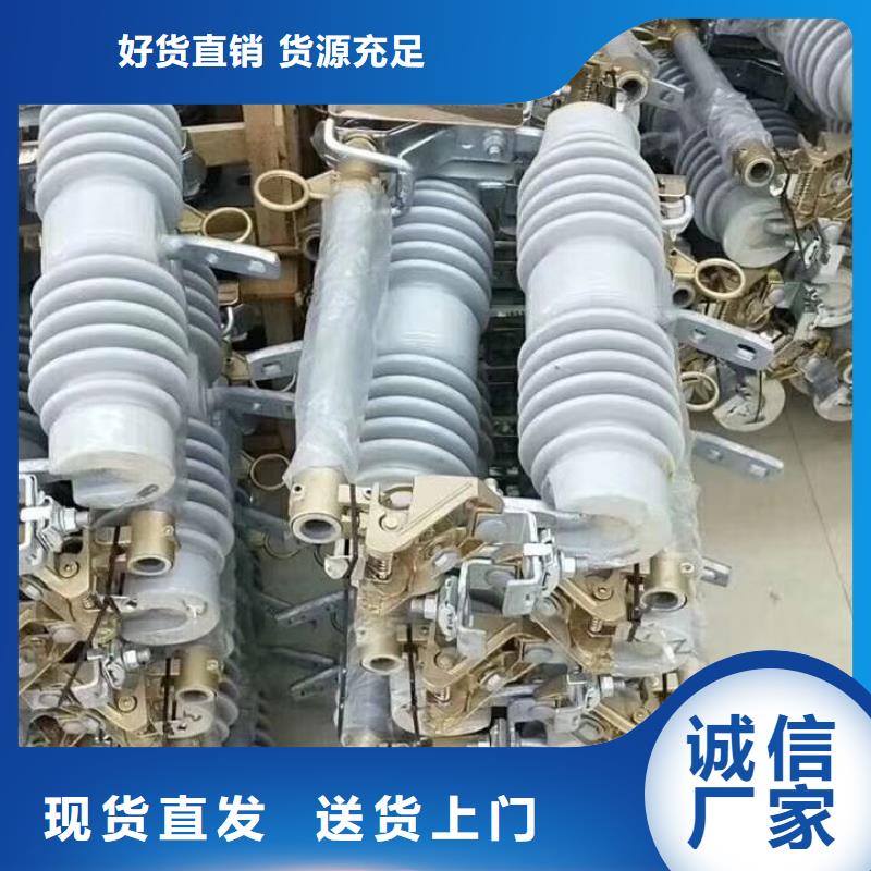 RN3-6/100高压限流熔断器
