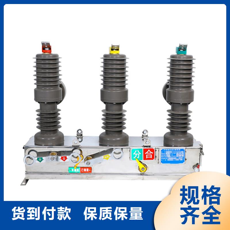ZW8-12F/630A户外柱上真空断路器