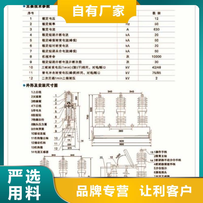 LW8-40.5/1250-25铁壳常规高压断路器樊高