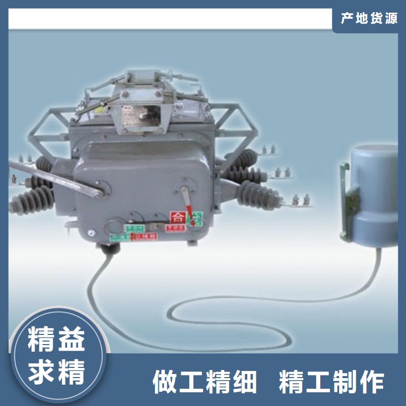 ZW20A-12F/T1250户外柱上真空断路器