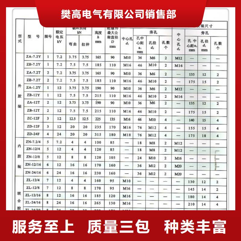 ZSW2-110/850高压绝缘子樊高电气