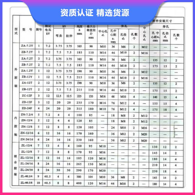 FXBW2-220/160复合绝缘子