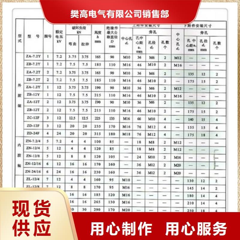 ZJ-10KV/70*130环氧树脂绝缘子