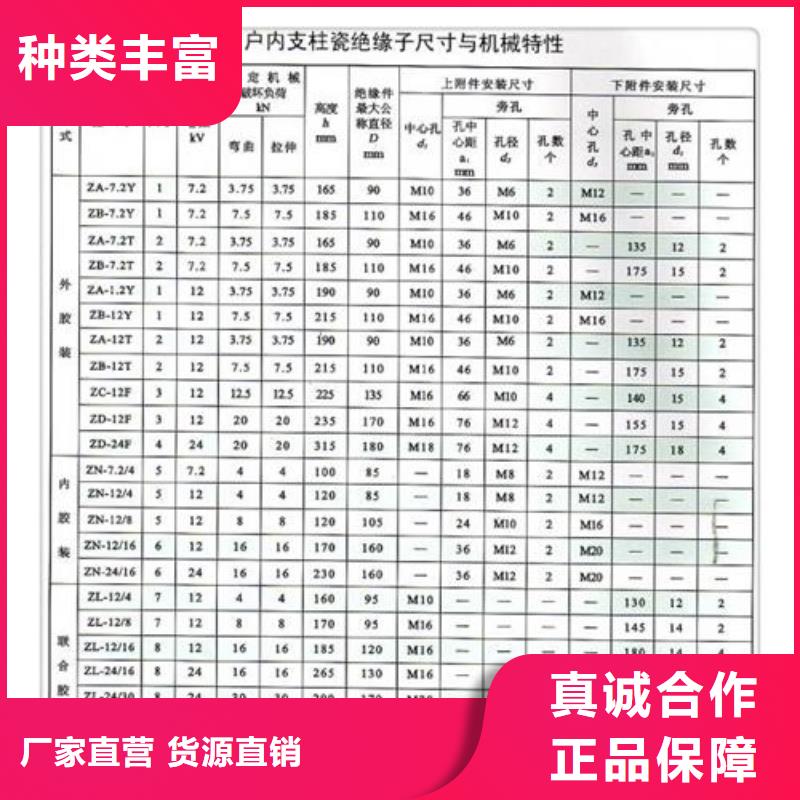 ZJ-10KV/70*130环氧树脂绝缘子