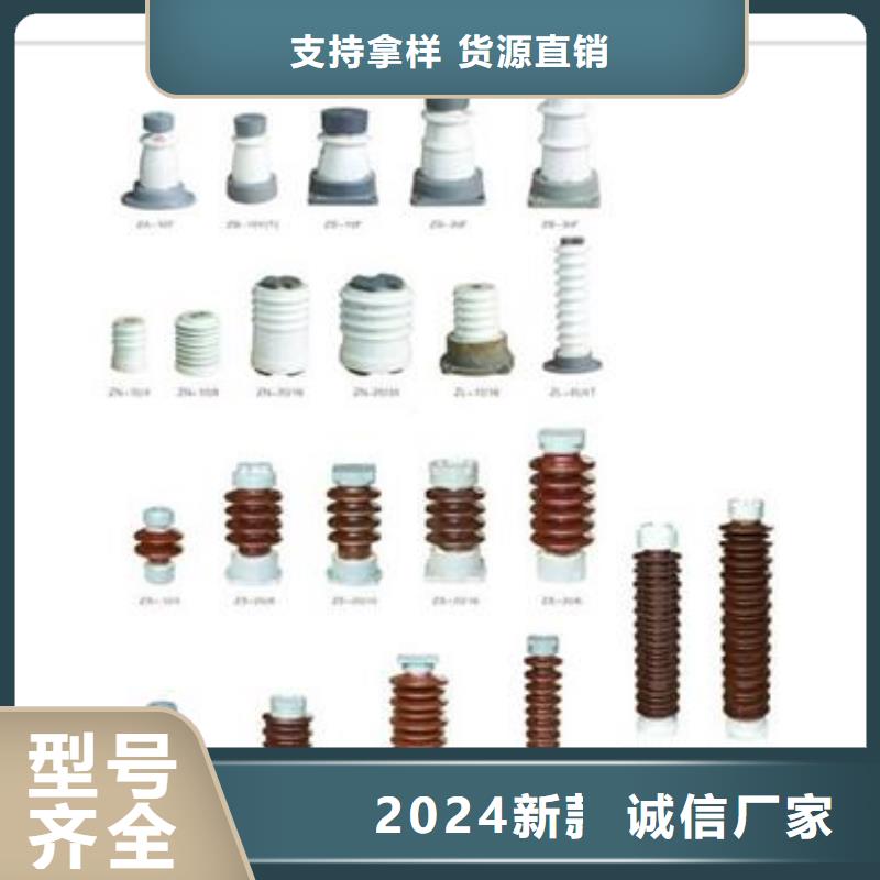 ZSW2-20/400支柱绝缘子