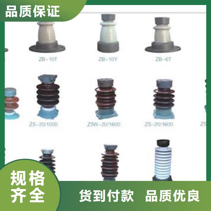 ZJ-10KV/85*145高压环氧树脂绝缘子