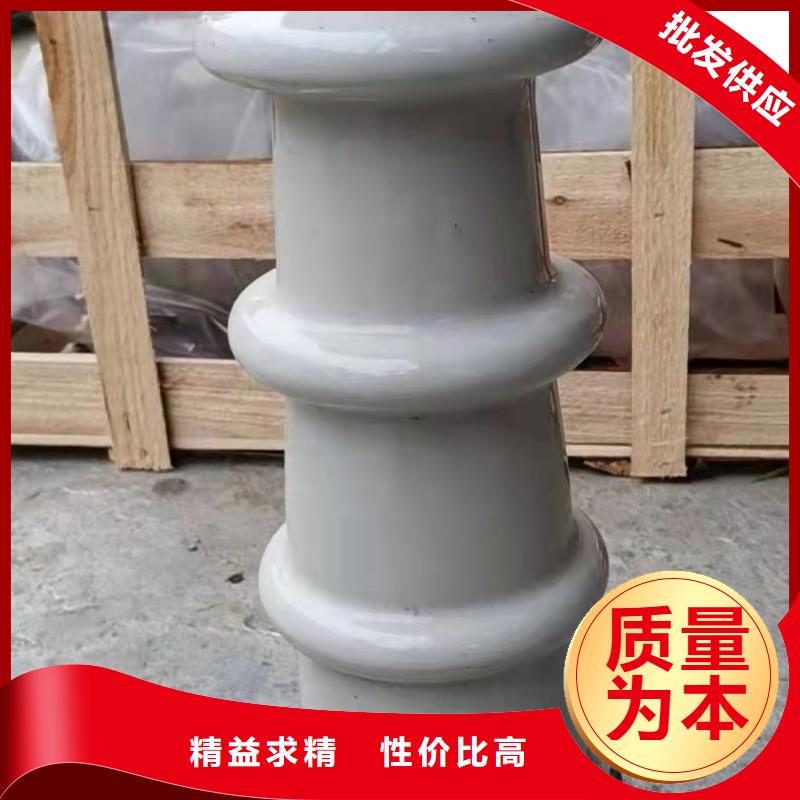 ZJ-10KV/85*145高压环氧树脂绝缘子