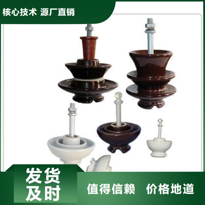 ZS2-10/1000高压陶瓷绝缘子多少钱