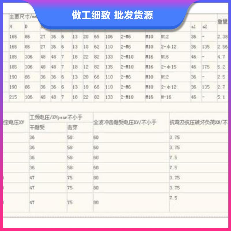 PSN-125/12.5ZS支柱绝缘子