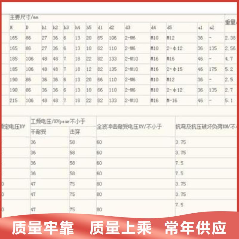 XWP2-100陶瓷绝缘子樊高电气