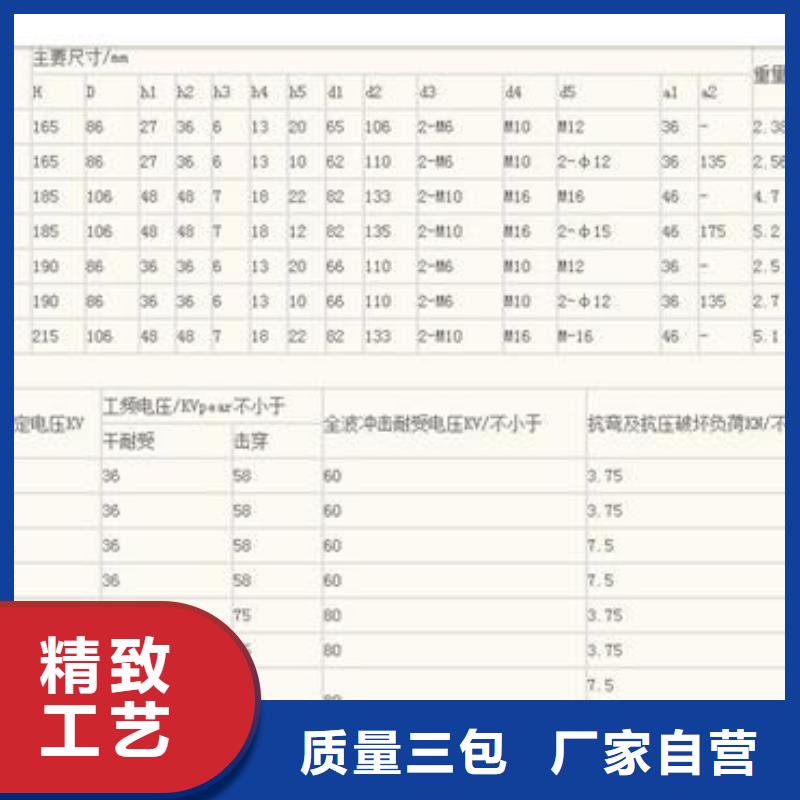 FZSW4-252/8高压复合支柱绝缘子