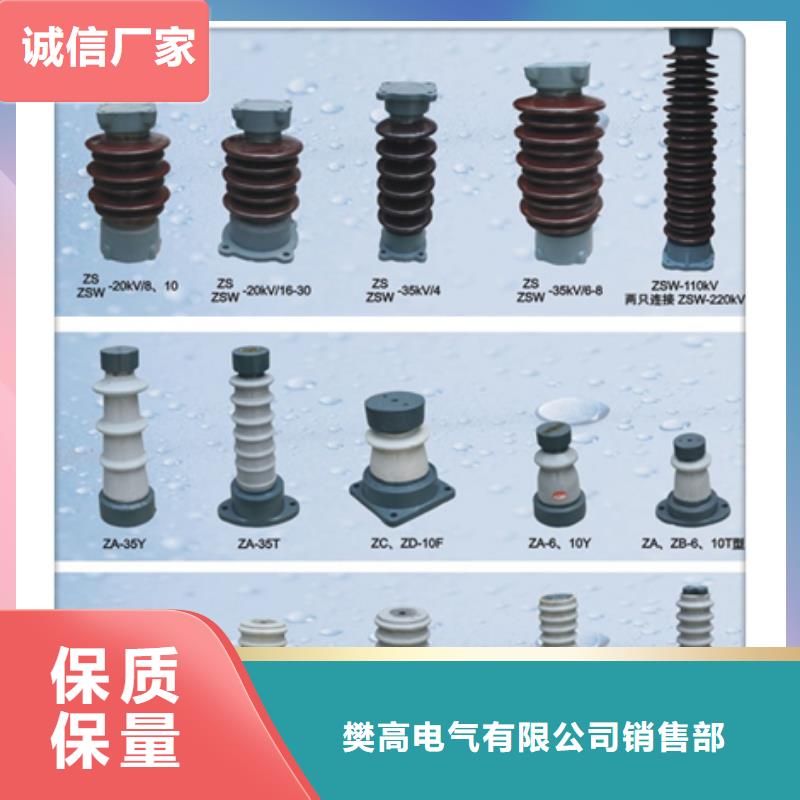 ZJ-10KV/85*145高压环氧树脂绝缘子