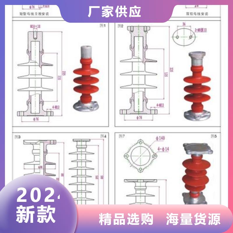 FZSW4-220/10高压复合支柱绝缘子