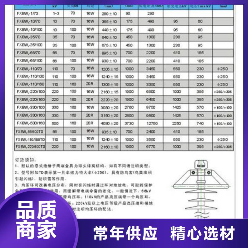 FXBW2-110/100棒型绝缘子