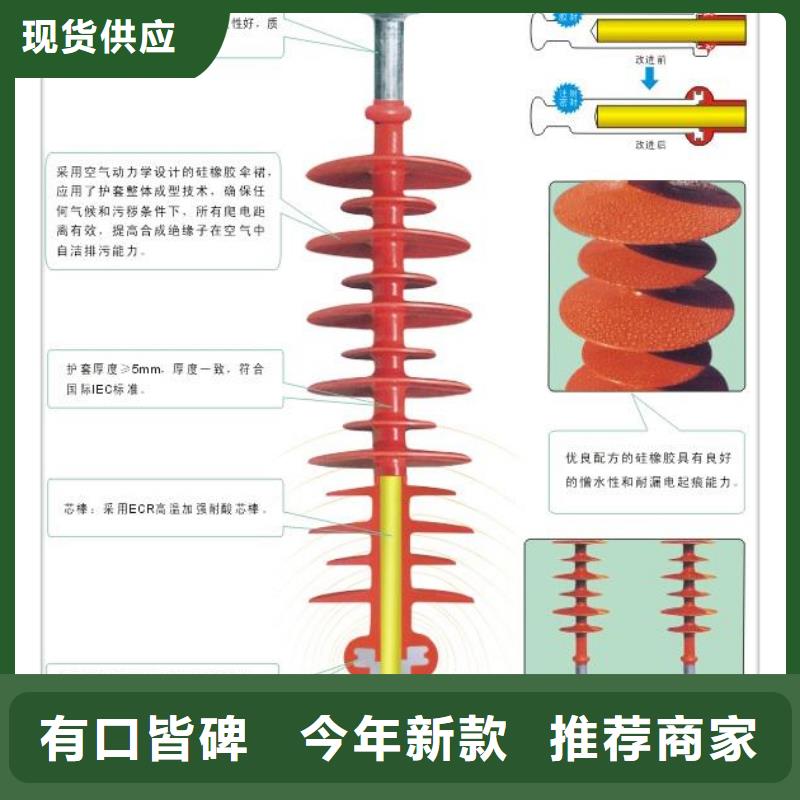 FZSW4-220/10高压复合支柱绝缘子