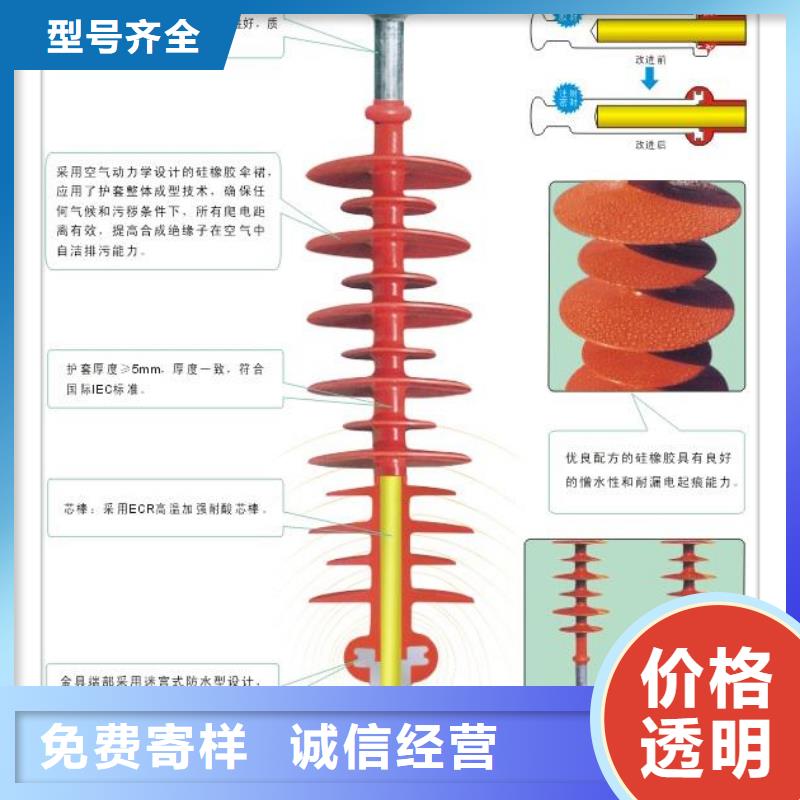 ZSW2-40.5/400高压陶瓷绝缘子