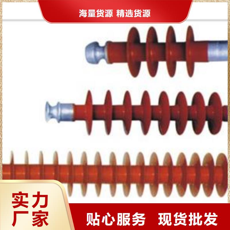 ZSW2-20/400支柱绝缘子