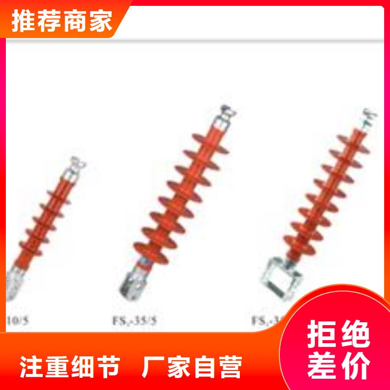 DXN-35T高压带电显示器