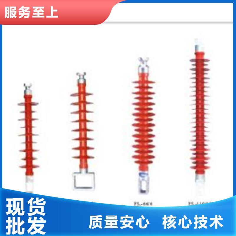 ZD-12F陶瓷绝缘子