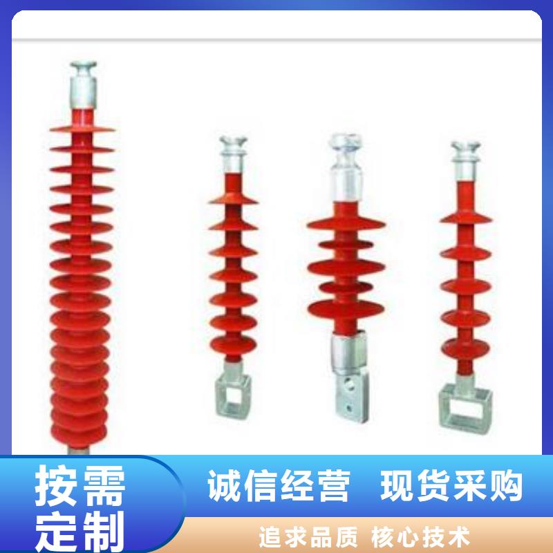 ZJ-35Q/145*320高压绝缘子