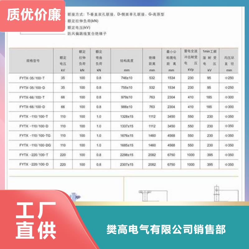 ZN-35Q/130*380环氧树脂绝缘子