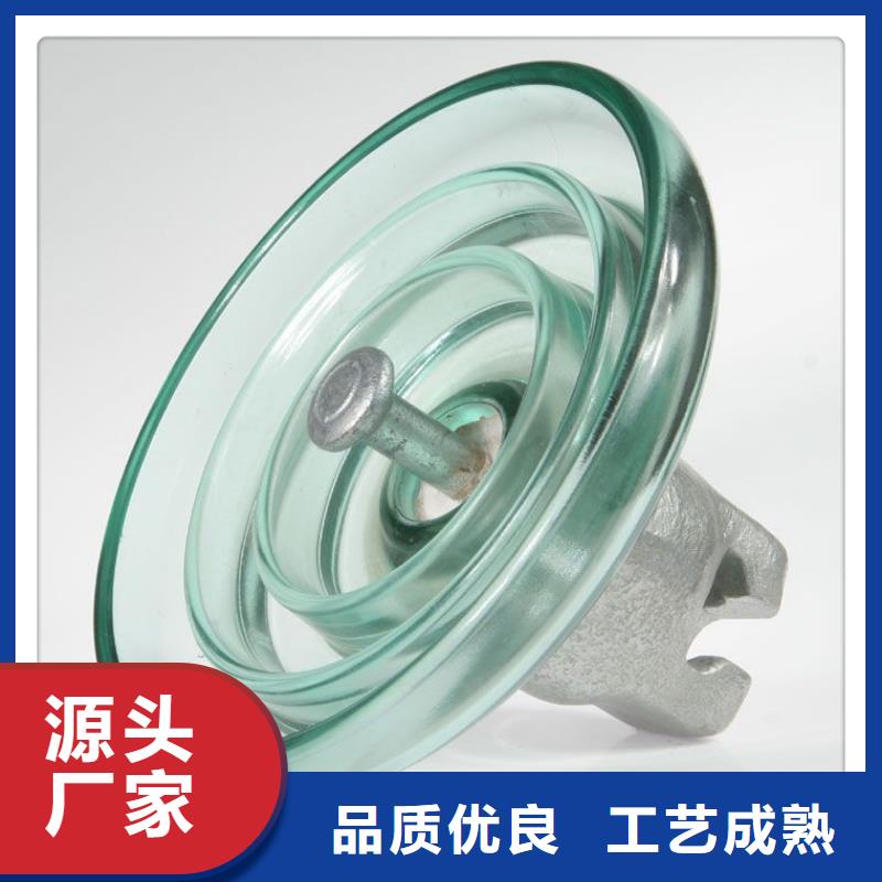 ZS2-20/400陶瓷绝缘子