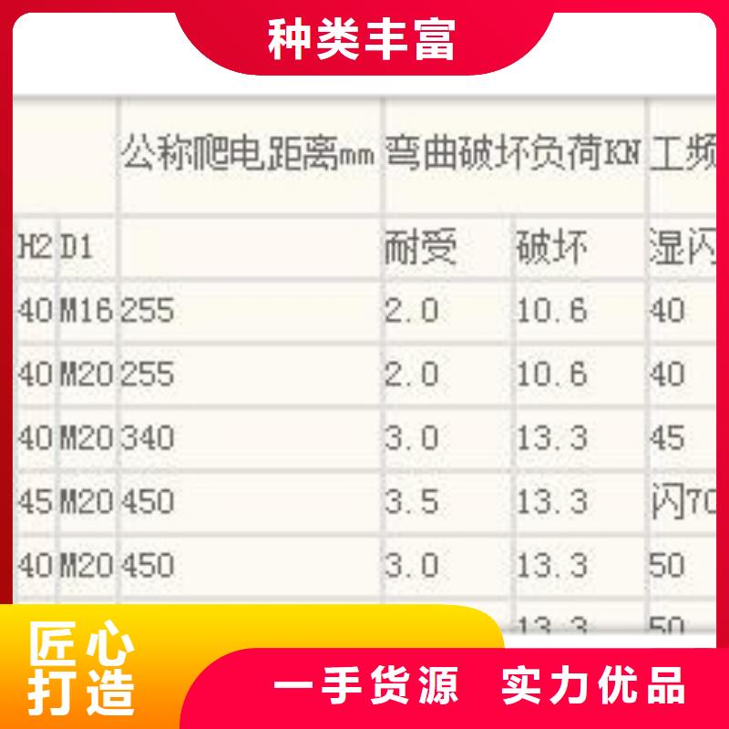 FXBW1-110/100高压硅胶绝缘子哪里有