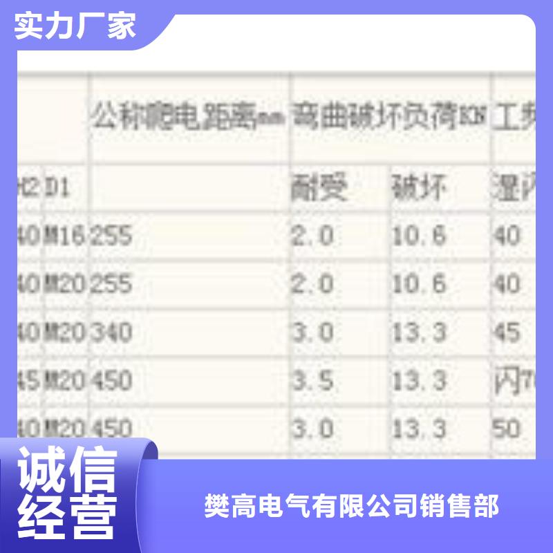 ZJ-10KV/65*140高压环氧树脂绝缘子