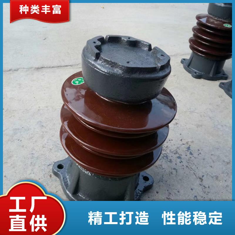 ZJ-10KV/70*130环氧树脂绝缘子