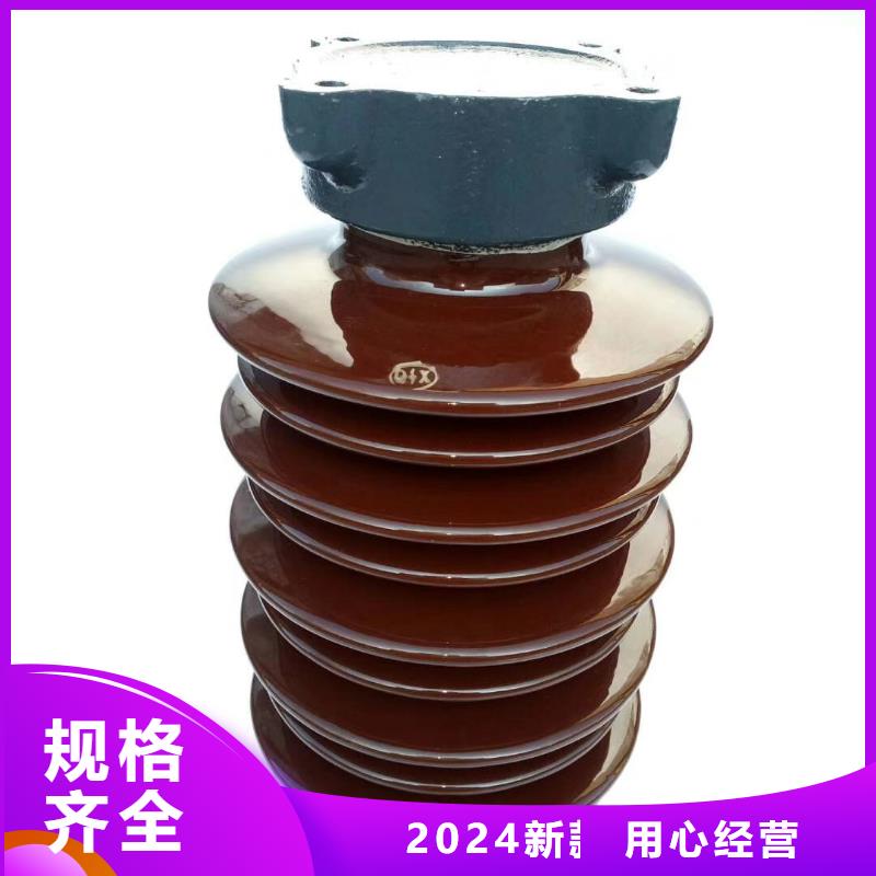 ZS2-20/1600高压陶瓷绝缘子