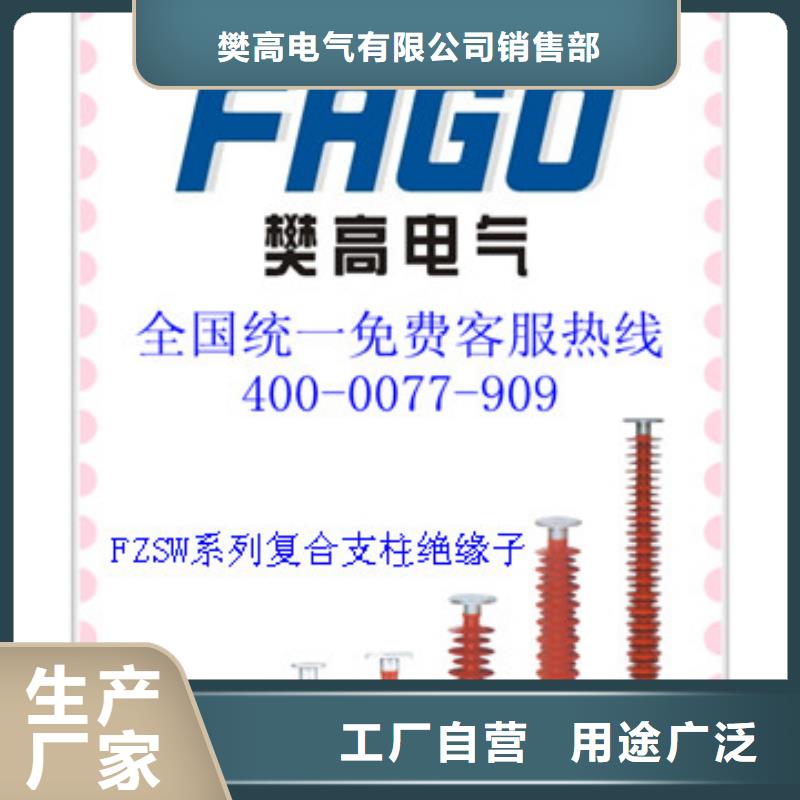 ZJ-10KV/70*130环氧树脂绝缘子