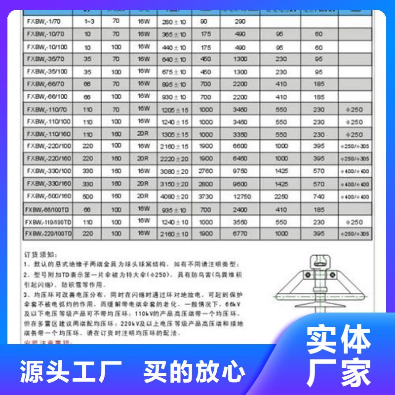 ZS-20/30绝缘子樊高电气