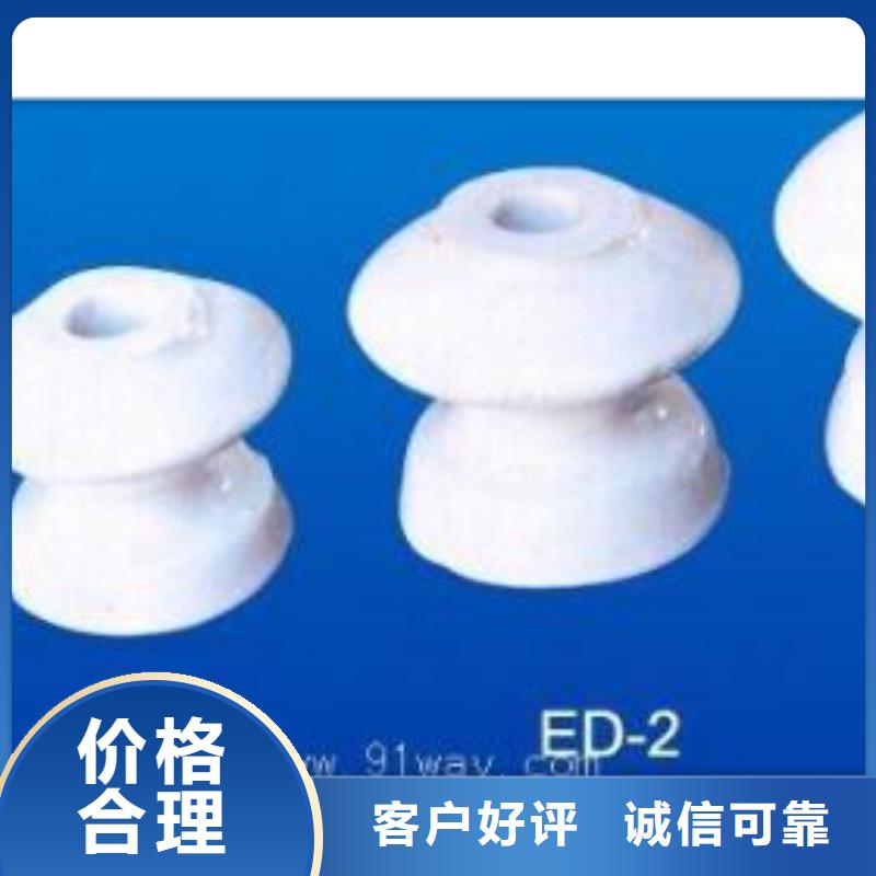 ZS2-10/1000户外支柱绝缘子
